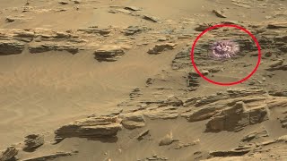 Perseverance Rover Captured a New Video Footage of Mars  New Mars Video [upl. by Delila]