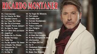 Ricardo Montaner  Déjame Llorar  Festival de Viña del Mar 2016 [upl. by Mohn]