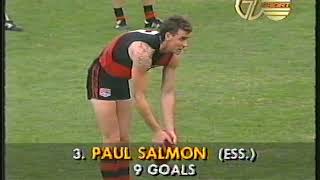 1993 Essendon vs Geelong  MCG AFL Football [upl. by Dorice]