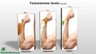 Protein Intake amp IGF1 Production [upl. by Curr]