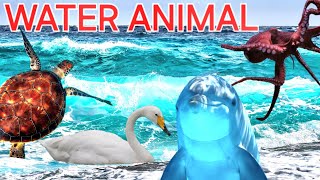 Water animals  children Pronunciation [upl. by Aniraad]