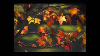 Karrin Allyson  Autumn leaves [upl. by Aicilef560]