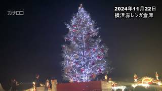 横浜赤レンガ倉庫でクリスマスマーケット始まる １０メートルのツリーも／神奈川新聞（カナロコ） [upl. by Ttevi]