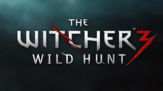 The Witcher3Where Are The Blacksmiths In Novigrad Location [upl. by Llertnom387]