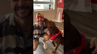 Max the office dog showing off his statefarm bandana reminding everyone we offer trupanion [upl. by Sokram]