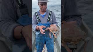 Pesca de centolla tumaco nariño [upl. by Ovid]