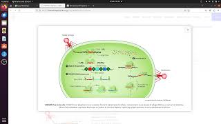 CRISPR in Nature  Part 2 Explained in Tamil [upl. by Mccutcheon118]