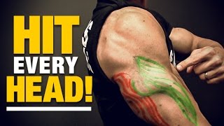 Exercises for Triceps for Every Head HIT EM ALL [upl. by Eldora]