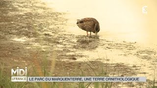 ANIMAUX  Le parc du Marquenterre une terre ornithologique [upl. by Ecnahc]