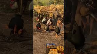 Omo valley Hamer tribe drink Ceremony omo viralvideo [upl. by Eedolem]