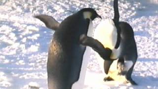 Penguin Funny 90s Commercial [upl. by Itsur]