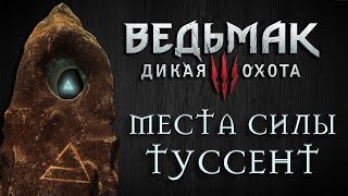 Ведьмак 3 Дикая Охота  Места Силы Туссент [upl. by Suraved]