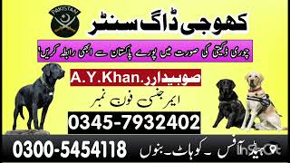 Army Dog Center Kohat Bannu 03005454118  khoji Dog  Khoji kutta Contact Number KPK [upl. by Asli]