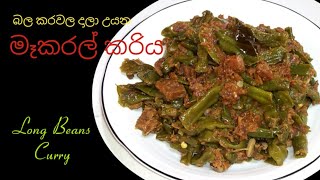 මේ විදිහට මෑකරල් කාලා තියෙනවාදMekaral curry  Long beans curry [upl. by Sapphera407]