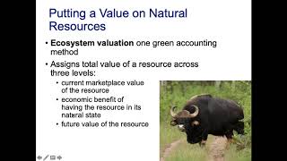 How to value biodiversity [upl. by Yenruogis841]