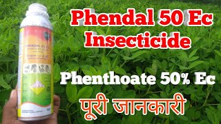 Phenthoate 50  ec  Phendal 50 ec insecticide  Coromandal international Ltd [upl. by Eceinahs263]