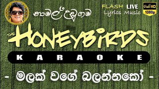 Malak Wage Balannako Karaoke Without Voice මලක් වගේ බලන්නකෝ කැරෝකේ [upl. by Greenland]