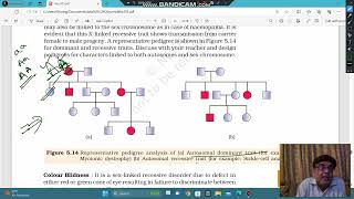 Pedigree Analysis  X linked dominant or Autosomal dominant [upl. by Nilak]