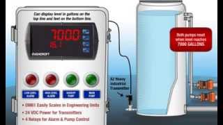 Features of the Ashcroft® DM61 Digital Panel Meter [upl. by Ynaffets]