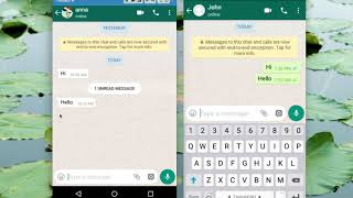 How to Read WhatsApp Messages without Blue Tick Marks [upl. by Nakhsa]