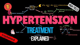 ANTIHYPERTENSIVE DRUGS Mechanism of action Side effects Pharmacology [upl. by Anyahs]