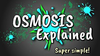 Osmosis Explained [upl. by Rodge867]