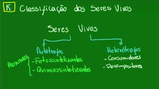 Classificação dos seres vivos  Ecologia  Biologia [upl. by Eulalia]