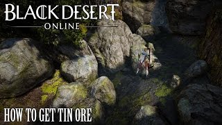 Black Desert Online How to Get Tin Ore [upl. by Thomasina]