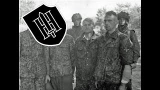 9 SSPanzerDivision Hohenstaufen  episode 9 all waffenSS divisions [upl. by Loralyn]