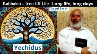 Shlomo Carlebach  Kabbalah  Yechidus  Sarah Long life long days  Tree of life [upl. by Morell]