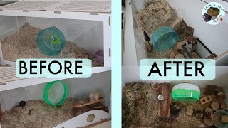 Enrichment For Gerbils  Before amp After [upl. by Huff478]