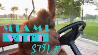 Orangutan Rambo Drive Golf Car As Miami Vice Style [upl. by Burrow]