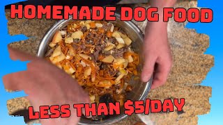 How to make Homemade Dog Food for Less than 5day [upl. by Oneill]