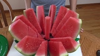 How to cut Watermelon FAST [upl. by Dolphin371]