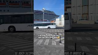 msccruise msccrociere msc crociera crociere travel kreuzfahrt youtubeshorts ytshorts yt [upl. by Rediah]