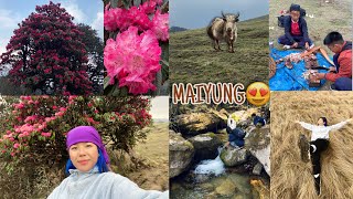 MAIYUNG डांडा NISKIDAI BHOJPUR VLOGNOT BY MUNDUM TRAIL NIGHTSPENT AT HOMESTAY [upl. by Kiernan]