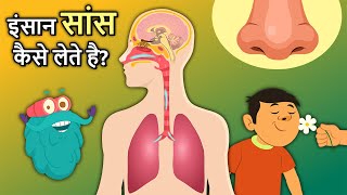 इंसान सांस कैसे लेते है  How Human Nose Works In Hindi  Respiratory System  Dr Binocs Show [upl. by Adniral]