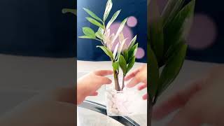 diy ZZ plant decor 🪴 ytshorts showpiece plants shorts plantdecor zzplant homedecor [upl. by Clotilda]