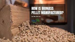 How to make biomass pellets  How to make wood sawdust pellets by wood biomass pellet mill [upl. by Notsua]