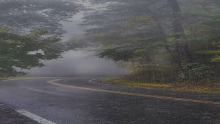 Rain Sounds For Relaxing Your Mind And Sleep Tonight ASMR  Sounds Of RAIN And Thunder For Sleep [upl. by Stafford]