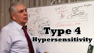 Type 4 Hypersensitivity [upl. by Aroled]