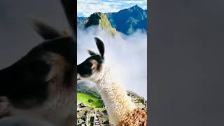 quotUnlocking Machu Picchus Ancient Secrets A Journey Through Incan Mysteriesquot [upl. by Karsten]