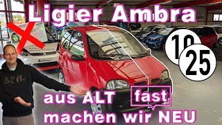 Führerscheinfreie Mobilität  Wir stellen euch den Ligier Ambra vor  GAMMA Fahrzeuge [upl. by Karylin]