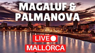 🔴 LIVE Magaluf to Palmanova Mallorca Majorca Spain  14 August 2022 [upl. by Rivalee]