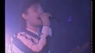 Akcent  Wspomnienie Koncert  Nasza szkapa 1994 [upl. by Ykcir]