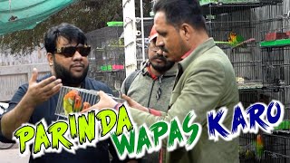 Parinda Wapas Karo  By Nadir Ali amp P4 Pakao Team  P4 Pakao  2024 [upl. by Airalav]