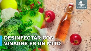 ¿El vinagre sirve para desinfectar alimentos Esto sabemos [upl. by Schapira]