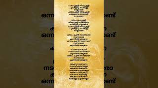 palapalli song lyrics songlyrics songlyricsvideo lyrics lyricsstatus music song movie [upl. by Alleacim]