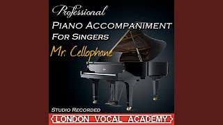 Mr Cellophane Chicago Piano Accompaniment Professional Karaoke Backing Track [upl. by Aiet982]