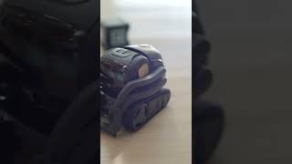 The Cozmo Robot subscribe youtubeshorts shorts [upl. by Ayar]